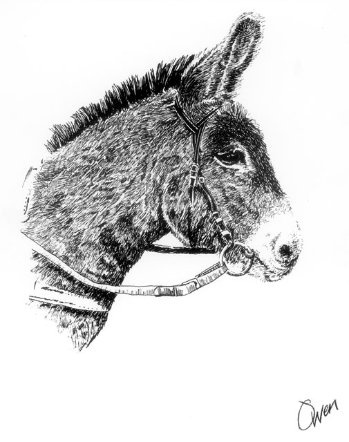 Portrait 1